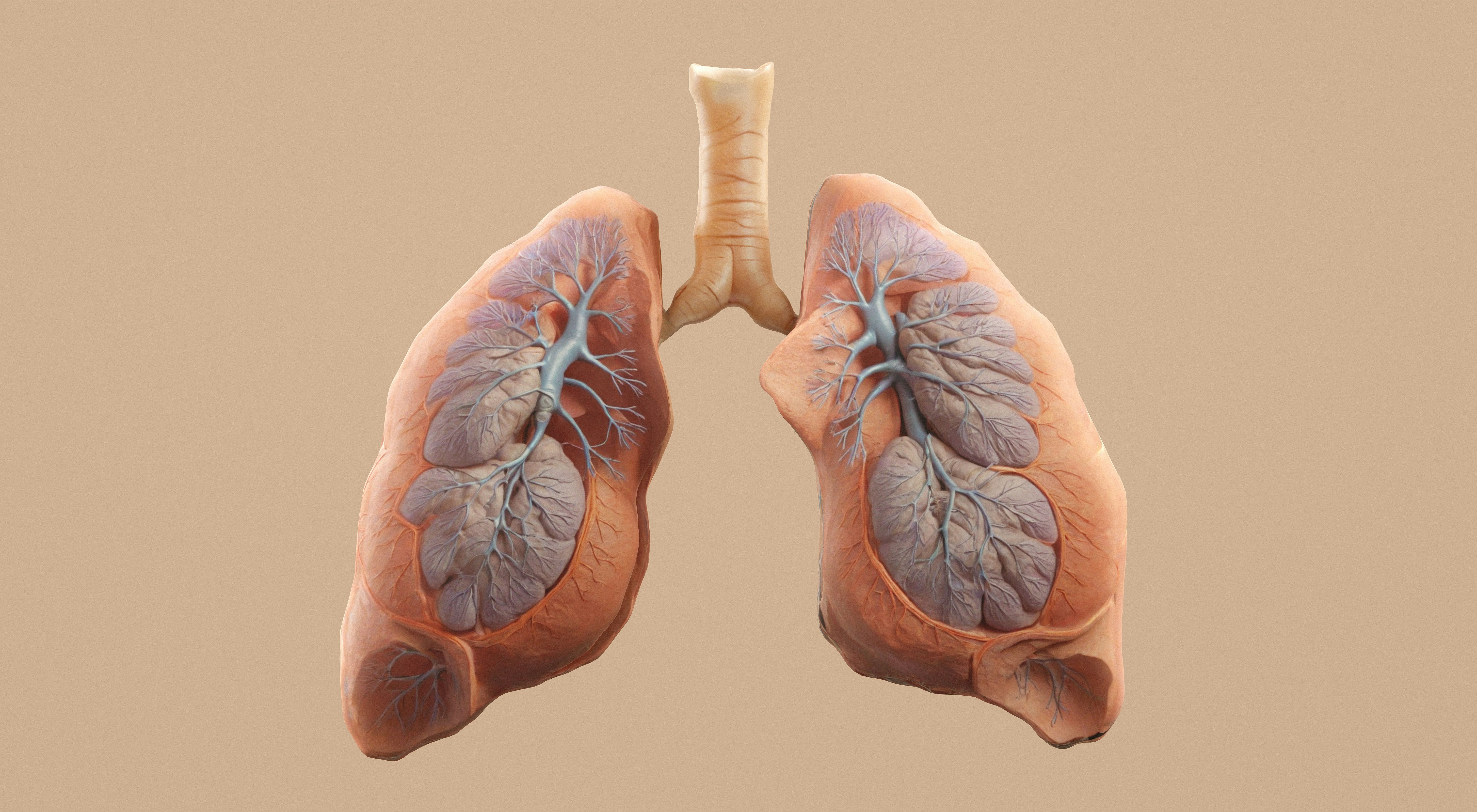 Respiratory Diseases